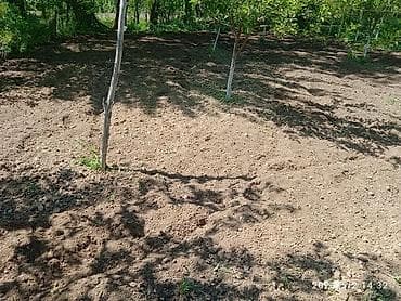 Сетевой маркетинг: Вспашка Огородов С Мотоблоком Теплиц Стоимость одного сотки 500 сом — 3