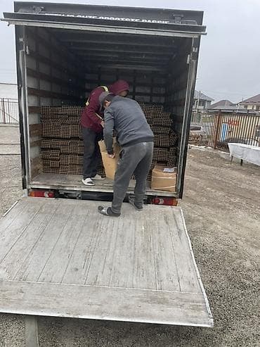 каробка кольт: Заказать Мерседес грузовой спринтер, Переезд, С прицепом — 5