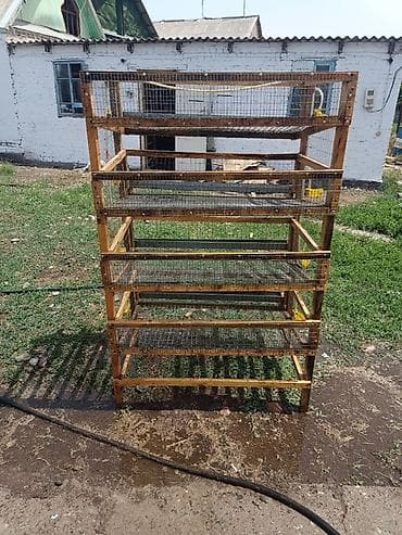 дакан цыплят: Для перепелок Описание: - Конструкция на 5 уровней, каркас — 3