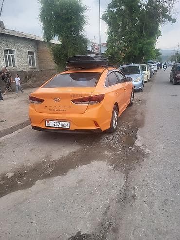 шторка соната: Hyundai Sonata: 2019 г., 2 л, Автомат, Газ, Седан — 4