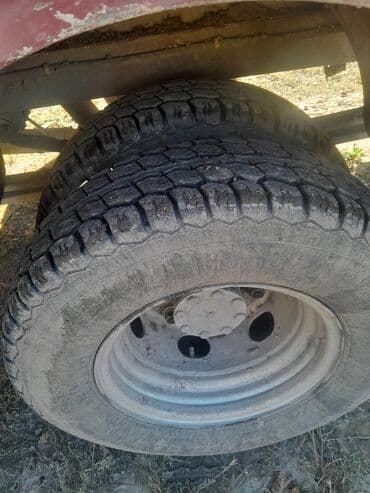 декоративные кролик: Фольксваген LT 55 1992 жылкы объем 2.5 сатылат каропка механика 5 — 2