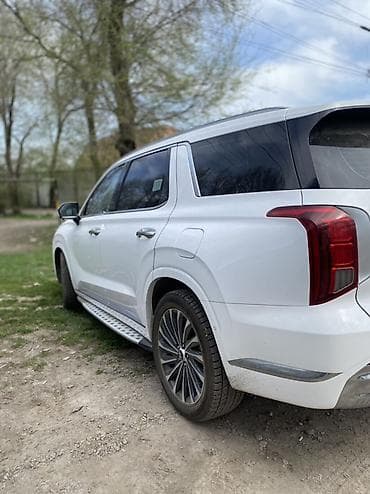 миша: Hyundai Palisade: 2022 г., 2.2 л, Робот, Дизель, Кроссовер — 3