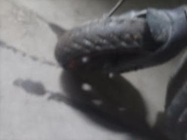 продам гироскутер: Электросамокат, Без рассрочки, Б/у, Самовывоз — 2