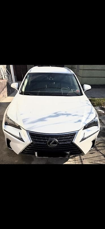 bvd e2: Lexus NX: 2019 г., 2 л, Автомат, Бензин, Кроссовер — 8