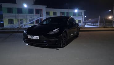 пороги x5: Tesla Model 3: 2019 г., 10 л, Автомат, Электромобиль, Хэтчбэк — 1