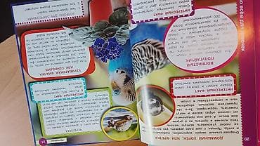 third edition solution: ВОЗЬМИТЕ КНИГУ ДЛЯ СЕБЯ И РЕБЕНКА . ДВЕ КНИГИ ВСЕГО ЗА 230 СОМ — 6