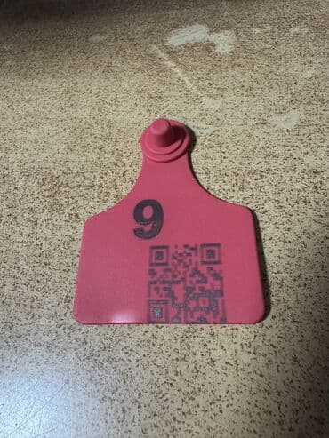 вольеры для собак бу: Бирки для овец, сделанные из материала полиэтилена. Можно через — 5