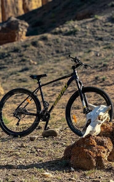 купить фикс в бишкеке: Городской велосипед, Рама XL (180 - 195 см), Новый — 8