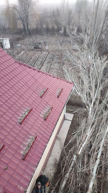 көк жар: Тал, Бак, Жаңгак акацса Дуб Орехи терек карагач Отун кылып даярдап — 1