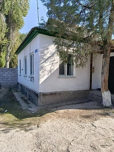 дома сосновка: Продаю дом в селе. Новониколаевка. Жайылкий район, ориентир Сосновский — 3