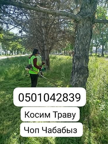 Уборка территории, Стрижка газона