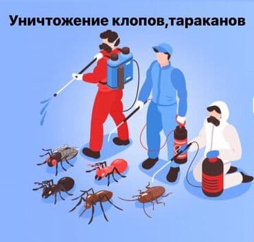 Дезинфекция, дезинсекция, | Клопы, Блохи, Тараканы, | Транспорт, Офисы, Квартиры