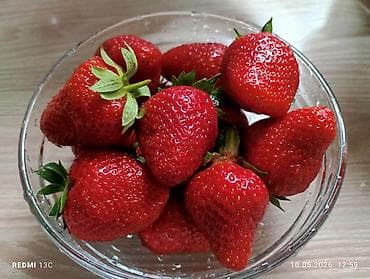 1 кг мяса цена бишкек: Кулпунай — 2