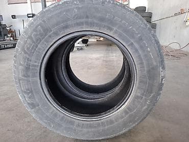 1000 к: Шины 225 / 70 / R 16, Всесезонная, Комплект, Внедорожные (АТ/МТ), Китай, Kapsen — 5