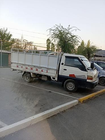 жосткий цепка: Легкий грузовик, Hyundai, Стандарт — 1
