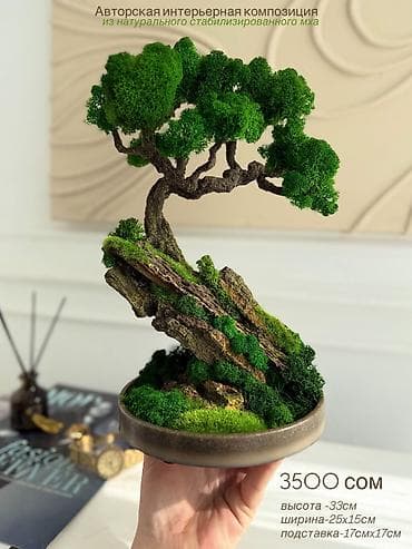 декоративные кусты: Декоративные деревья бонсай с натуральным стабилизированным мхом — 1