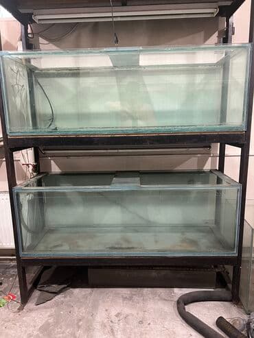 Продаю 8 аквариумов: 2 аквариума-(длина-150,ширина-50, высота-50) 375