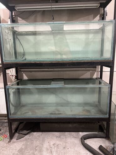 купить аквариумных рыбок в бишкеке: Продаю 8 аквариумов: 2 аквариума-(длина-150,ширина-50, высота-50) 375 — 1