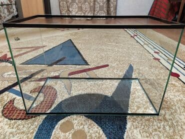 аквариумная рыбка: Аквариум новый. Объём 40 л. Есть аквариумные рыбки, растения — 2