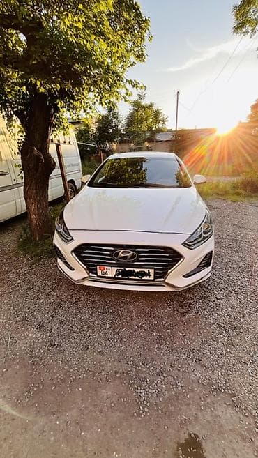 протер 2: Hyundai Sonata: 2019 г., 2 л, Автомат, Газ, Седан — 1