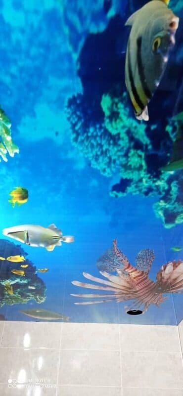 требуются монтажники натяжных потолков: Натяжной потолок Глянцевое, 3D потолки, Матовое Монтаж, Демонтаж, Бесплатная консультация — 3