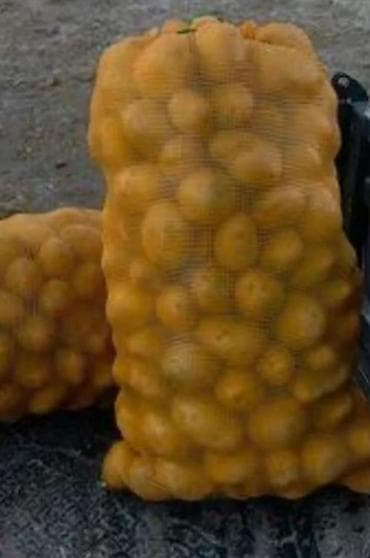 моркови цена: Свежие овощи, фрукты и зелень — ассортимент для дома, кафе и — 2