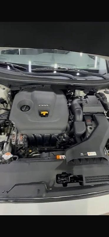 205 65 16 с: Hyundai Sonata: 2018 г., 2 л, Автомат, Бензин, Седан — 4