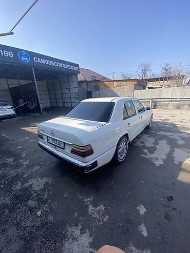 дерево на мерс 124: Mercedes-Benz W124: 1988 г., 2.3 л, Механика, Бензин, Седан — 4