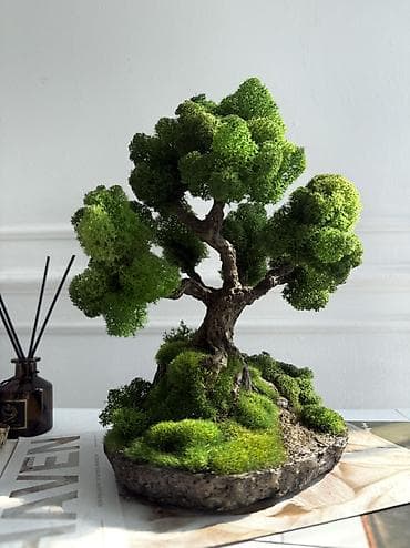Декор и интерьер: Мини-дерево Бонсай из живого стабилизированного мха 🌿 ✅Цены указаны — 1