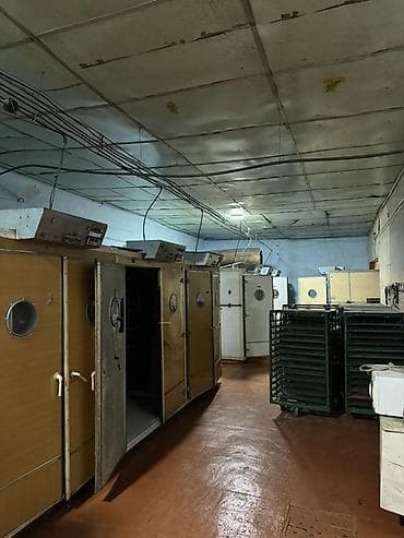 бизнес даяр: Инкубатор для птицы — производственное помещение с оборудованием — 6