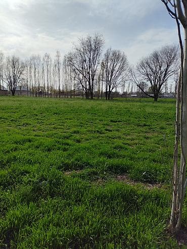 сдам 1 комнатную квартиру в аламедин 1: 4 соток, Для строительства, Красная книга — 4