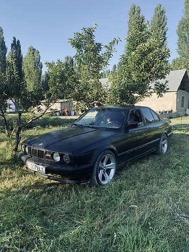 к5 зеркало: BMW 5 series: 1991 г., 2.5 л, Механика, Бензин, Седан — 1