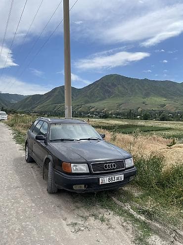 outback wilderness: Audi 100: 1992 г., 2.6 л, Механика, Бензин, Универсал — 1