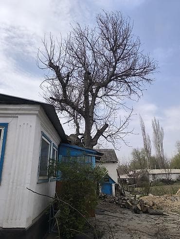 уголь мешок: Дрова Орех, Самовывоз — 10