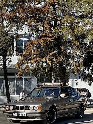 степ рж 1: BMW 5 series: 1988 г., 2.5 л, Механика, Бензин, Седан — 10