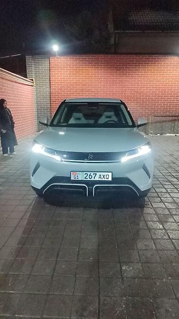 step rf3: BYD Song Pro: 2024 г., Автомат, Электромобиль, Кроссовер — 1