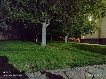 воронцовка дом: Дом, 180 м², 5 комнат, Собственник, Евроремонт — 9