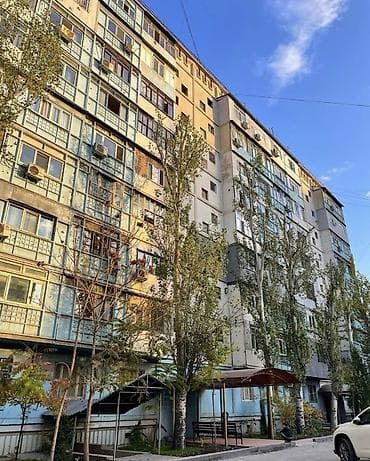 Батирлер: 1 бөлмө, Риелтор, Толугу менен эмереги бар — 8