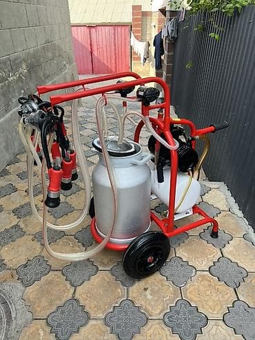 Доильный аппарат на тележке, двухпостовой Описание: - Передвижной — 4