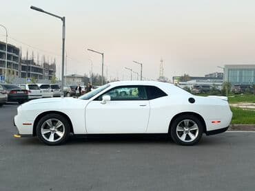 крутые машины: Dodge Challenger: 2021 г., 3.6 л, Автомат, Бензиновая, Купе — 4