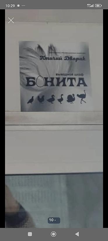 швед уйлар: Инкубатор Инкубатор Инкубатор . Россия. Большой.Бонита. электрический — 9