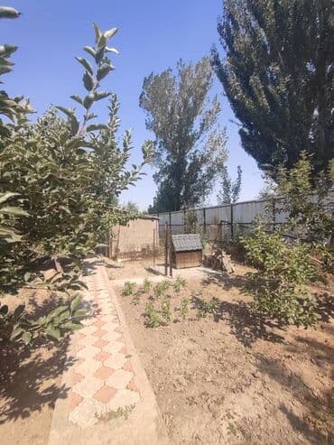 продаю дом с новопавловка жм алтын ордо: Үй, 100 м², 4 бөлмө, Кыймылсыз мүлк агенттиги, Косметикалык оңдоо — 10