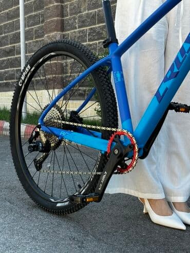 горный велосипед с широкими колесами: Горный велосипед, Tsunami, Алюминий, Новый — 10