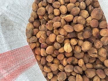 80 сом копмотко. Бакалашка 1кг 250 сом. Лейлек кандек оругу. Оптом и в — 2