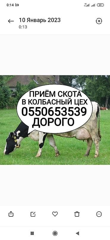 Принимаем дорого