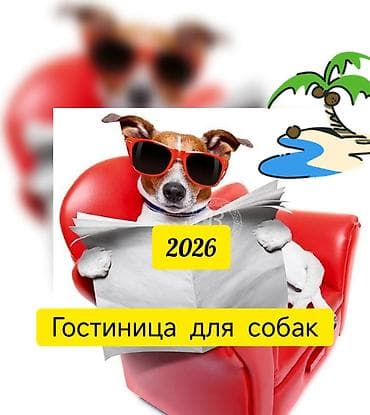 Гостиница для квартирных собак, частный дом, комфортное и безопасное