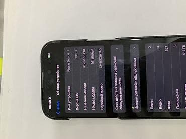 ipad mini: IPhone 15 Pro, 512 ГБ, Черный, Чехол, 80 % — 3