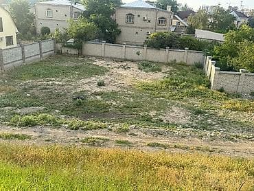 5 соток, Курулуш, Кызыл китеп — 7