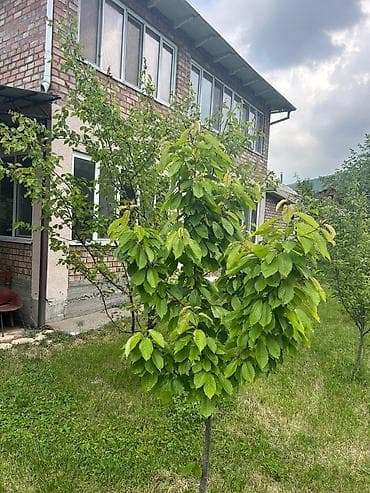 180 м², 4 комнаты, Утепленный, Теплый пол, Бронированные двери