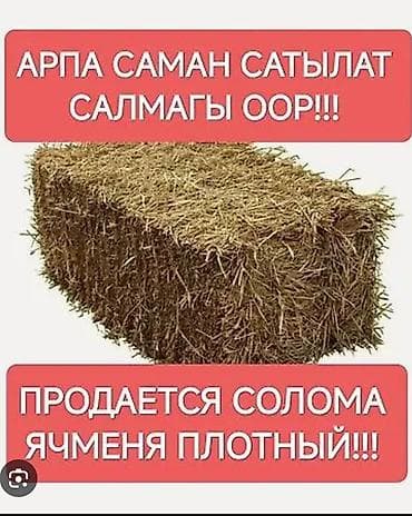 Солома ячменя — плотные тюки. - Вид: солома ячменная - Форма: тюк -